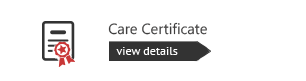 Care Certificate E-Learning Courses